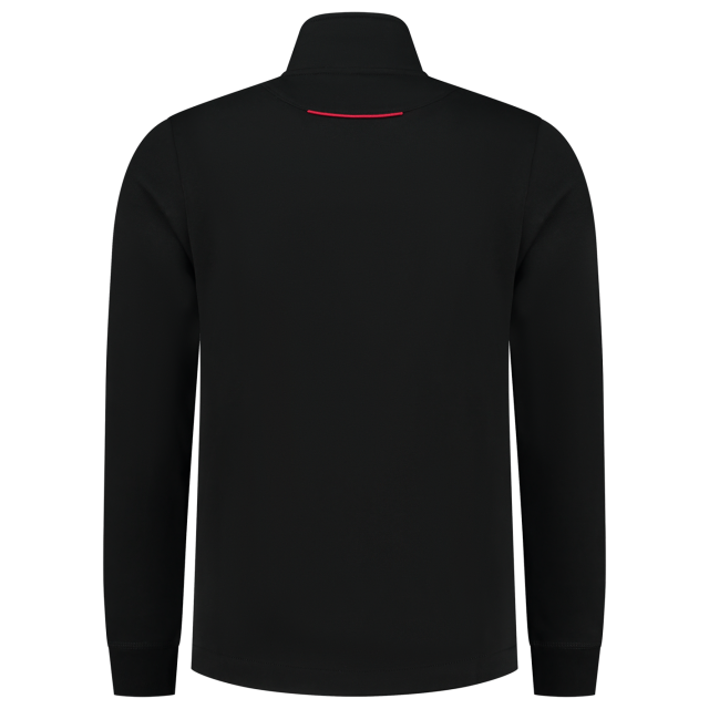 302702blackredback.png